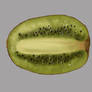 Kiwi study