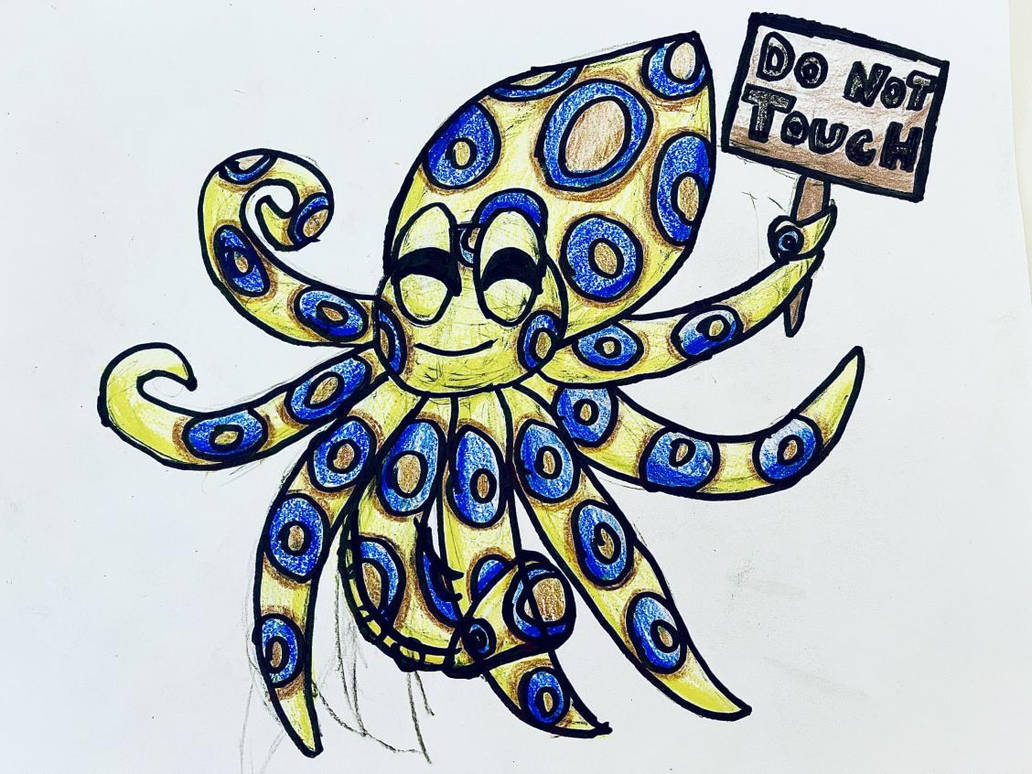 Blue Ringed Octopus Animation Blue Ringed Octopus by 28RainbowSnakes on DeviantArt