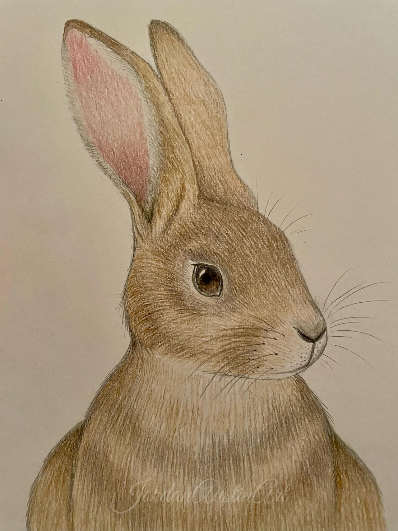 Spring Rabbit by JordanAustinArt on DeviantArt