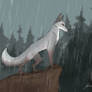 Lieutenant in the Rain