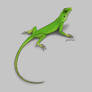 Green Lizard Commission