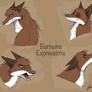 Barbwire Expressions