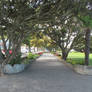 Landscape 73