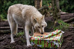 The Gift is Mine! (Happy Howlidays!) by CastleGraphics The Gift is Mine! (Happy Howlidays!) by CastleGraphics