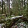 Landscape 158