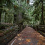 Landscape 178