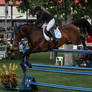 Show Jumping 10