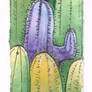 bookmark cacti