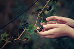 Cold by Econita