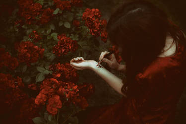 She paints the roses red by Econita