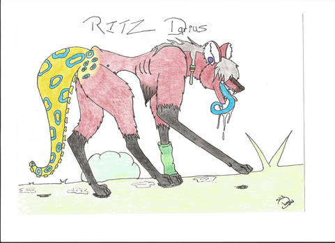 Ritz Darius