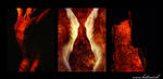 Narcism triptych by hellmet