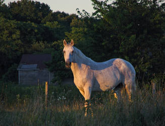 At Dusk