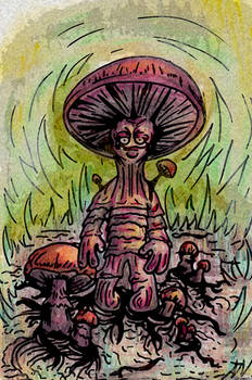 The Mushroom Man