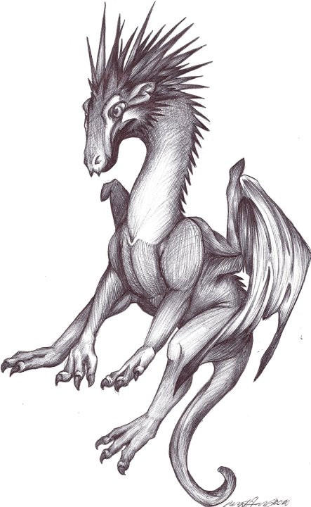 sharp dragon by myartamyhart on DeviantArt