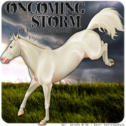 Oncoming Storm Avatar copy