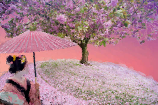 Cherry Blossom With Geisha