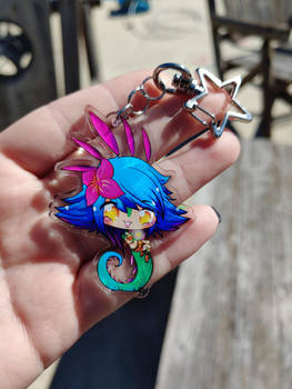 Neeko Charms