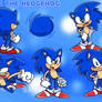 Sonic Concept