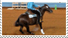 spinning horse