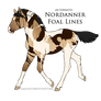 9634 Foal Design