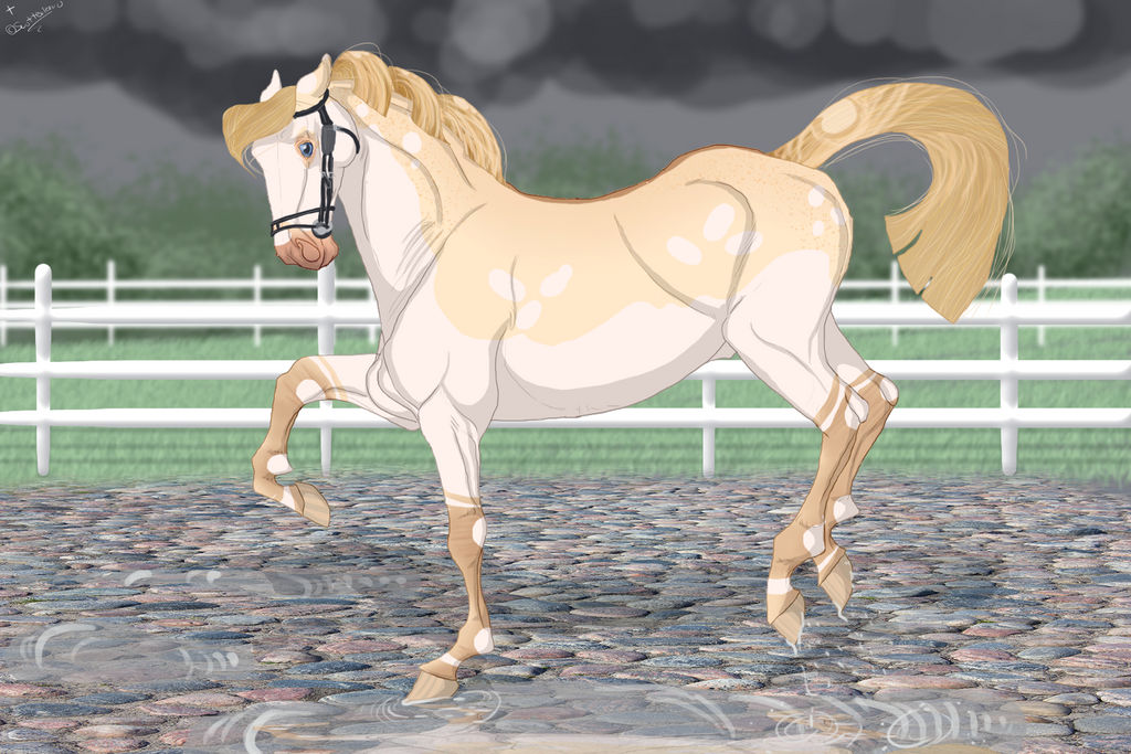 Grumpy Rodeo Horse Grumpy Horses gonna Grump by Scutterland on DeviantArt
