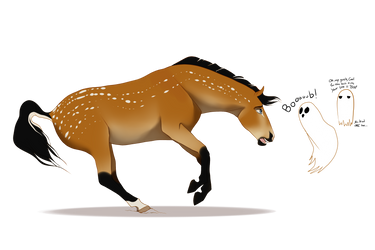 Carl we rehearsed this