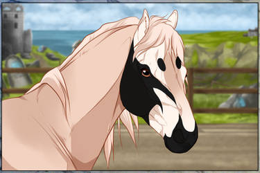 SOLD A6250 Arrowtail