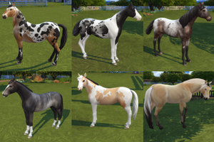 More Sims 4 Horse Shenanigans