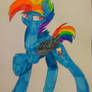 alternate universe Rainbow Dash