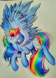 Rainbow Dash redraw by PepperScratch