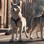 Wolves in town 7