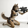 Taking aim