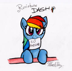 Dashie is SO AWESOME