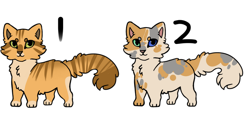 Two little cat adopts [2/2 OPEN]