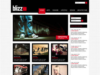 webdesign blizz