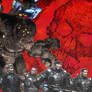 Gears of War Collage