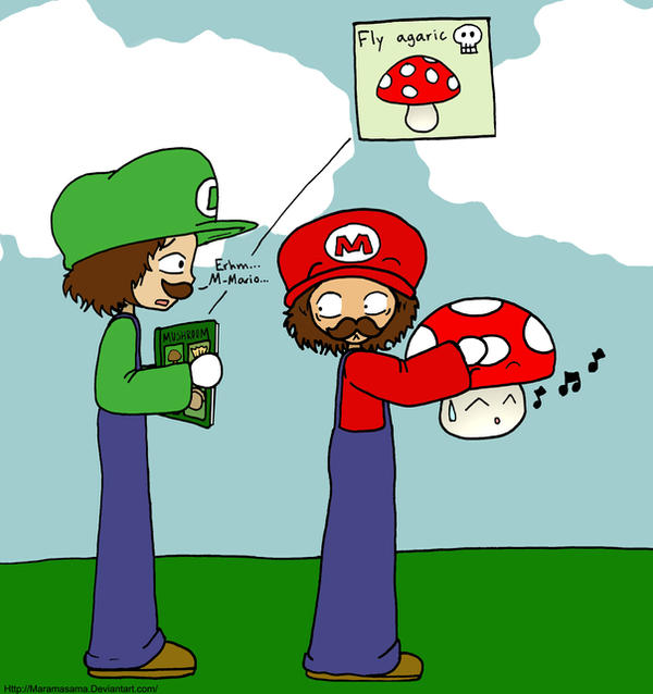 Dont eat that mushroom Mario