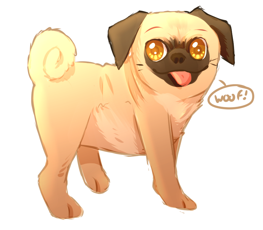 Pug