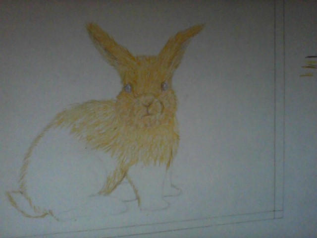 Uncanny Rabbit Drawing Bunny Rabbit (Unfinished) by CeeCeeAnime on DeviantArt