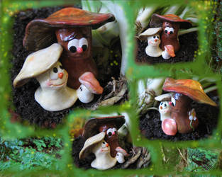 magic forest mushies