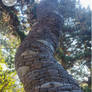 tentacle sculpture rebuilt after catastrophe
