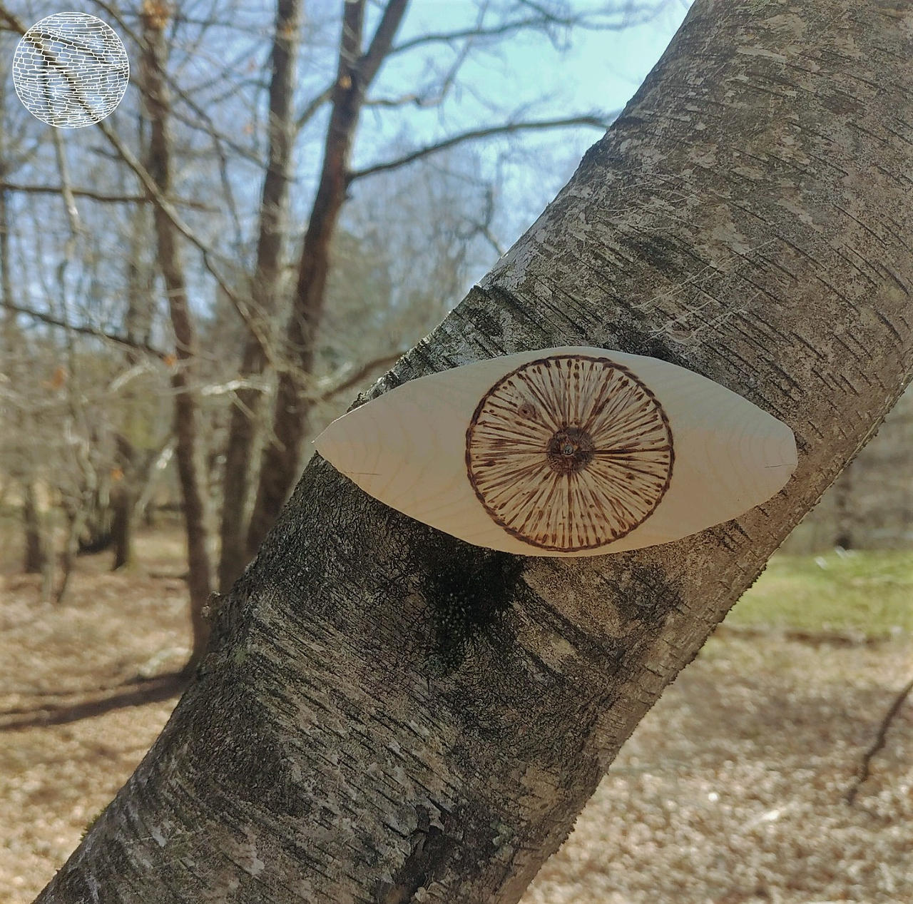Tree Eyes by Devine-Escapes on DeviantArt