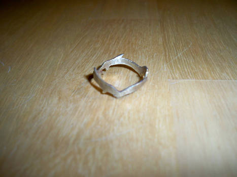 Dolphin Ring Photo #1