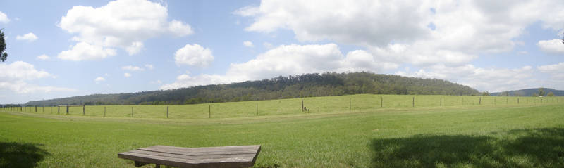 Fields panorama