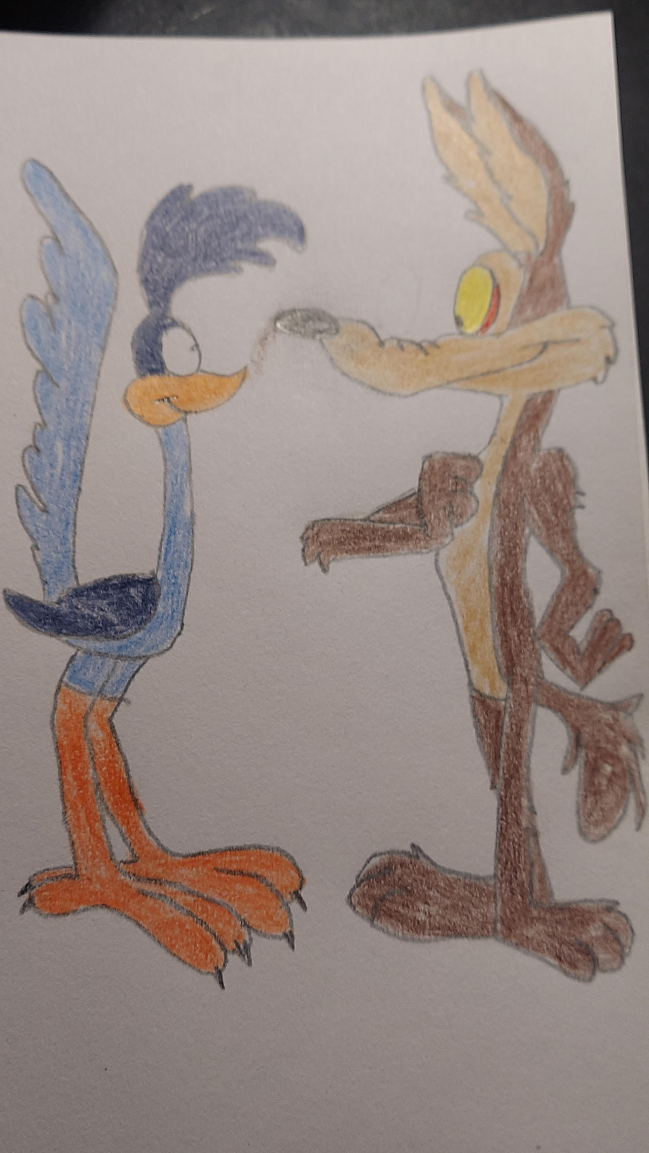 Wile E. Coyote and Roadrunner by agorduna on DeviantArt