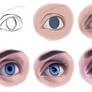 Eye Study - Step by Step