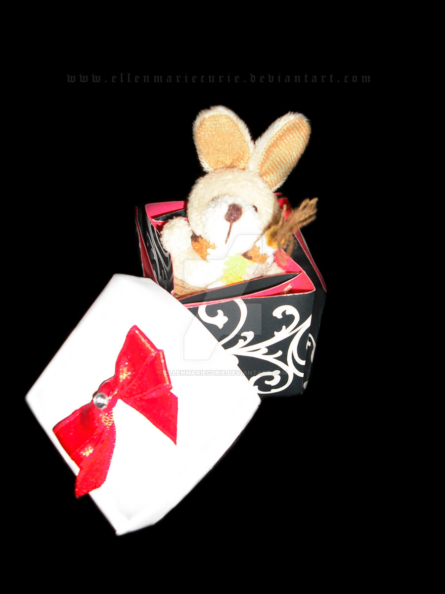 Rabbit in a box