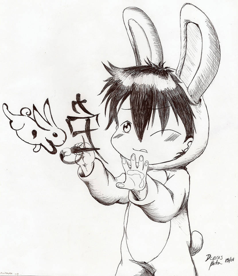 Rabbit Zodiac Cinder by dcrisisbeta on DeviantArt