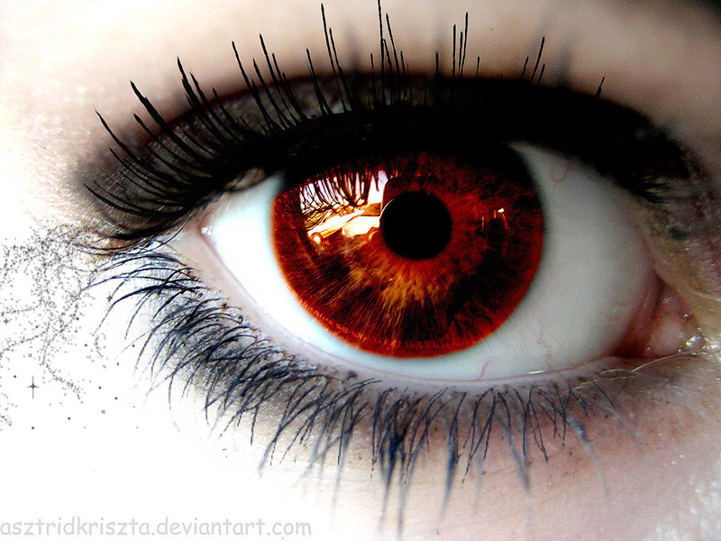 Eye of a Vampire